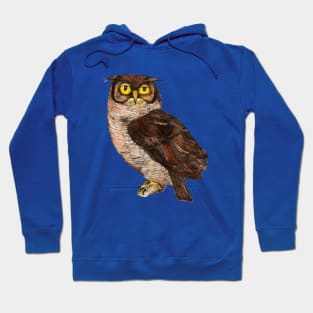 Great Horned Owl Wise Vintage Illustration Birders Graphic Bird Watchers Hoodie